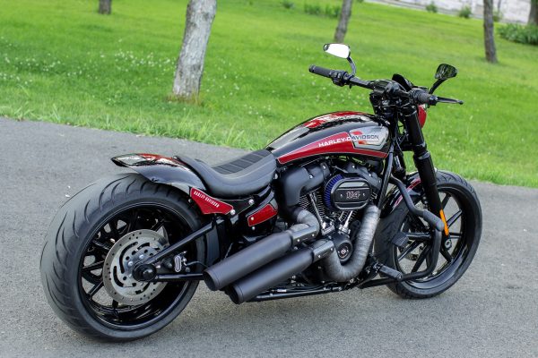 Harley Davidson 114 by BT Choppers 2022 + €1500 POCKET MONEY - Image 2