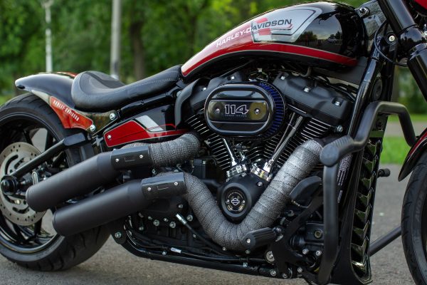 Harley Davidson 114 by BT Choppers 2022 + €1500 POCKET MONEY - Image 10